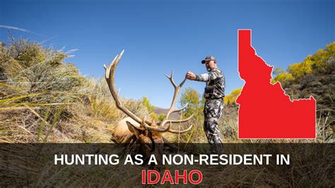 Idaho elk draw results - Results of the deer, elk, pronghorn, fall black bear and turkey controlled hunt drawings are available online and applicants who provided an email address will receive notification of their draw results. Hunters who drew a controlled hunt must purchase the tag by Aug. 1 or it will be forfeited.